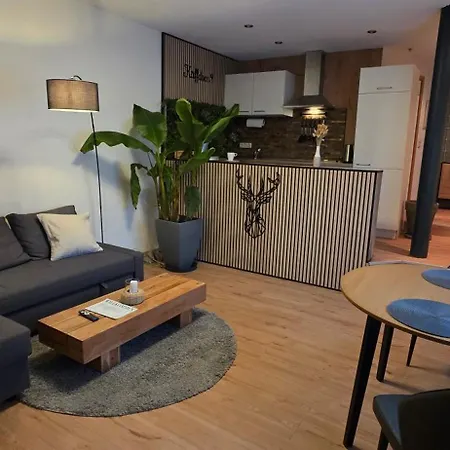 Apartment Am Blankenburger Tor Saalfeld