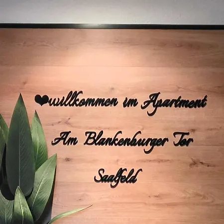 Am Blankenburger Tor Saalfeld Apartment