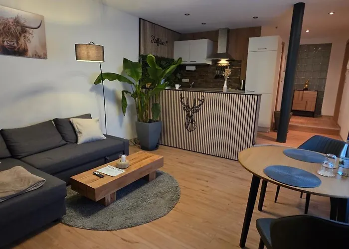 Apartment Am Blankenburger Tor Saalfeld